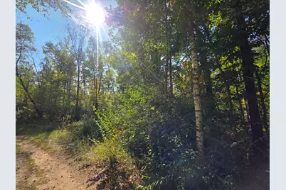 336 Penny Lane, Stanton, MI 48888 - Photo 5