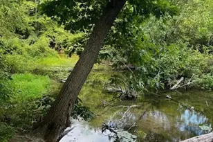 12808 Lincoln Lake Ave NE, Gowen, MI 49326 - Photo 1