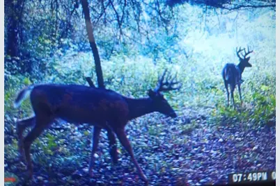 2222 101st Avenue, Otsego, MI 49078 - Photo 91