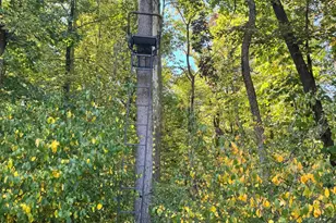 2222 101st Ave, Otsego, MI 49078 - Photo 5