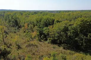 2222 101st Ave, Otsego, MI 49078 - Photo 35