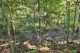 2222 101st Ave, Otsego, MI 49078 - Photo 63