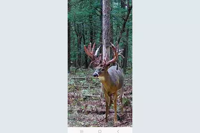 9283 Willow Road, Bitely, MI 49309 - Photo 23