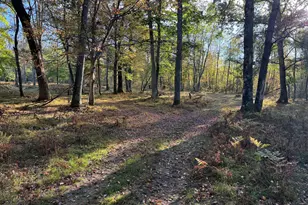 9283 Willow Rd, Bitely, MI 49309 - Photo 37