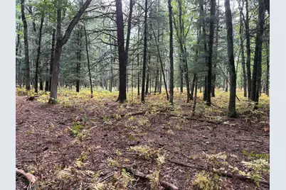 9283 Willow Road, Bitely, MI 49309 - Photo 41