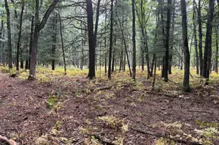 9283 Willow Rd, Bitely, MI 49309 - Photo 41