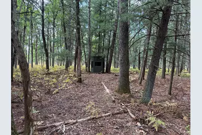 9283 Willow Road, Bitely, MI 49309 - Photo 31