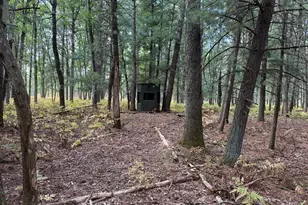 9283 Willow Rd, Bitely, MI 49309 - Photo 31