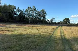 9283 Willow Rd, Bitely, MI 49309 - Photo 43