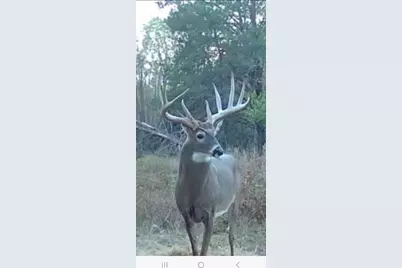 9283 Willow Road, Bitely, MI 49309 - Photo 59