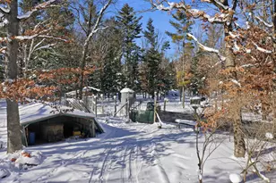 9283 Willow Rd, Bitely, MI 49309 - Photo 49