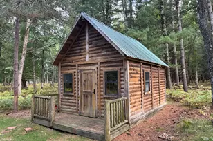 9283 Willow Rd, Bitely, MI 49309 - Photo 15