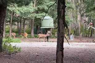 9283 Willow Rd, Bitely, MI 49309 - Photo 7