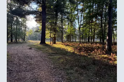 9283 Willow Road, Bitely, MI 49309 - Photo 33