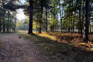 9283 Willow Rd, Bitely, MI 49309 - Photo 33