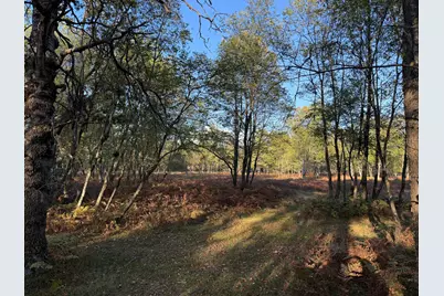 9283 Willow Road, Bitely, MI 49309 - Photo 21