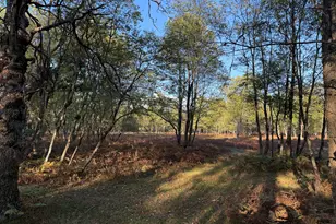 9283 Willow Rd, Bitely, MI 49309 - Photo 21