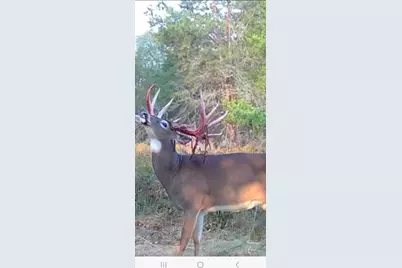 9283 Willow Road, Bitely, MI 49309 - Photo 49