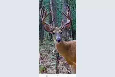 9283 Willow Road, Bitely, MI 49309 - Photo 21