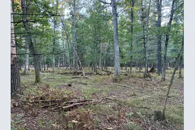 9283 Willow Road, Bitely, MI 49309 - Photo 29