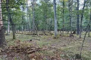 9283 Willow Rd, Bitely, MI 49309 - Photo 29