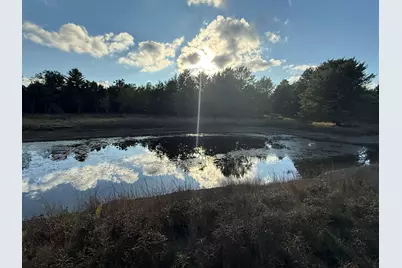 9283 Willow Road, Bitely, MI 49309 - Photo 47