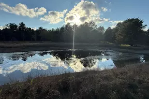 9283 Willow Rd, Bitely, MI 49309 - Photo 47