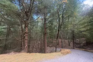 Vl Lenox, Pentwater, MI 49449 - Photo 3