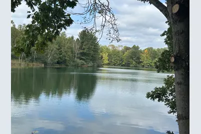 8601 N. Island Drive #41, Canadian Lakes, MI 49346 - Photo 1