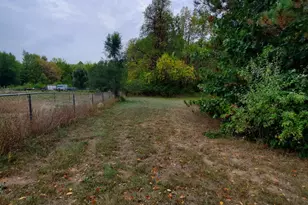 34751 28th Ave, Paw Paw, MI 49079 - Photo 5