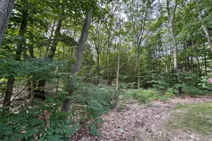 76757 Wood Crst Ct, South Haven, MI 49090 - Photo 5