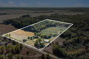 1215 Bear Ave, Harrison, MI 48625 - Photo 9