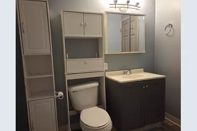 1060 Carmen Drive, Weidman, MI 48893 - Photo 9