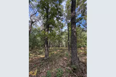 0 S Shady Grove Drive, Baldwin, MI 49304 - Photo 3