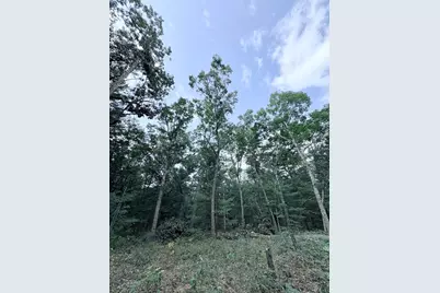 0 S Shady Grove Drive, Baldwin, MI 49304 - Photo 1