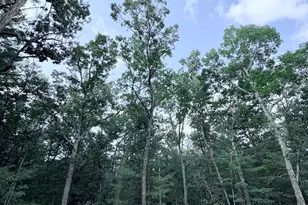 0 S Shady Grove Dr, Baldwin, MI 49304 - Photo 1