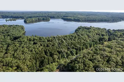 00 Monroe Road, Allegan, MI 49010 - Photo 1