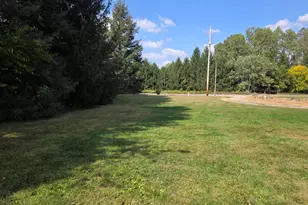 29510 S Dr N, Springport, MI 49284 - Photo 11