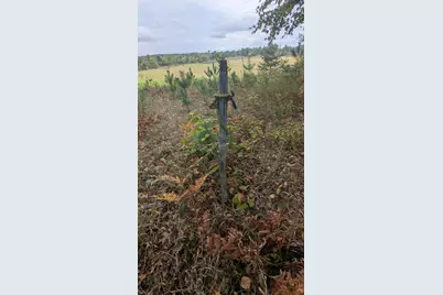 00 E 14 Mile Road, Paris, MI 49338 - Photo 13