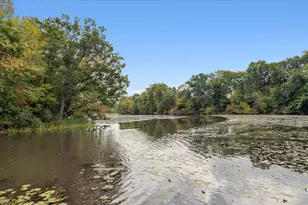 521 Adrian St, Manchester, MI 48158 - Photo 59