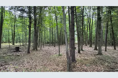 2404 Bialik Road, Manistee, MI 49660 - Photo 19