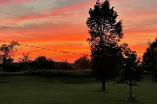 3679 Tamerry Ct, Saline, MI 48176 - Photo 55