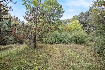 V/L Collier Ave Avenue, Battle Creek, MI 49017 - Photo 3