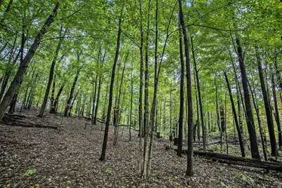 V/L Collier Ave Avenue, Battle Creek, MI 49017 - Photo 13