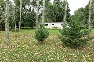 141 W Union City Rd, Union City, MI 49094 - Photo 5