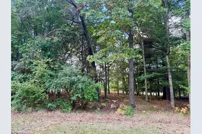 6485 Dunhill Drive, Canadian Lakes, MI 49346 - Photo 3