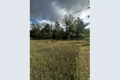 3448 S M-37, Baldwin, MI 49304 - Photo 1