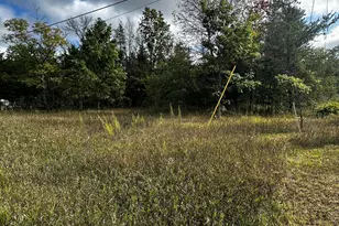 3448 S M-37, Baldwin, MI 49304 - Photo 1