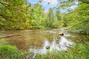 Lot 37 Birch Dr, White Cloud, MI 49349 - Photo 1