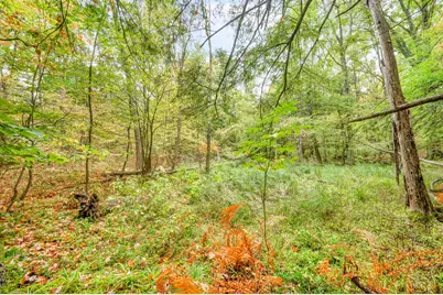 Lot 37 Birch Drive, White Cloud, MI 49349 - Photo 13